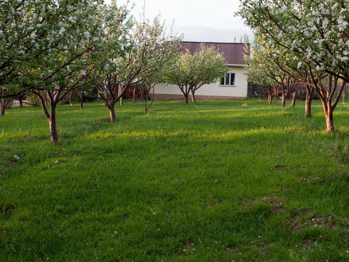 Barskoon Guest House Екстер'єр фото