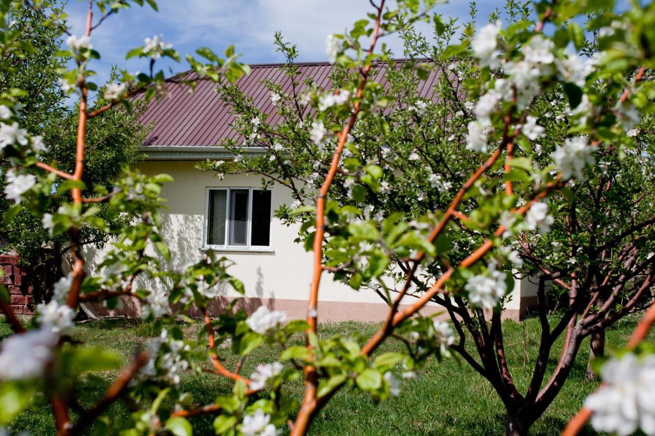 Barskoon Guest House Екстер'єр фото
